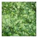 Moringa leaves powder 50g