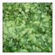 Moringa leaves powder 200g