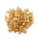 Rajma (Chitra Kidney Beans) 500 gm