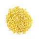 Maize Popcorn Seeds 300gm