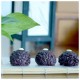 Premium Black Rice 1 Kg