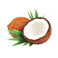 Coconut Oil 1000ml
