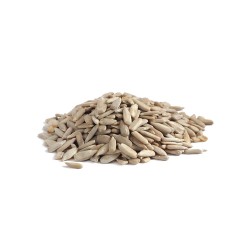 Sunflower Seed 100gm